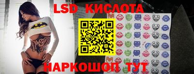 spice Кулебаки