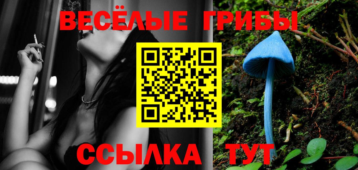 Галлюциногенные грибы MAGIC MUSHROOMS  Вход с VPN  Узловая 