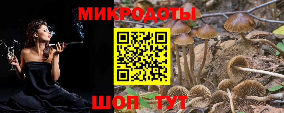 Псилоцибиновые грибы прущие грибы Узловая